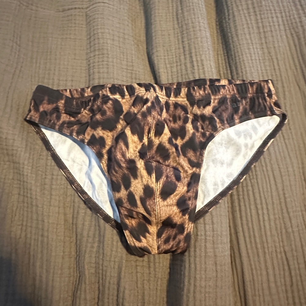 Charlie Leopard Print Swim Bikini Briefs